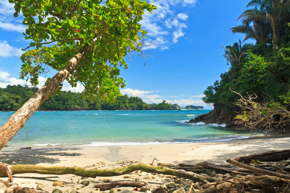 Playa Manuel Antonio